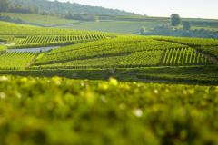 CHATEAU FABAS