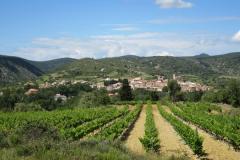 DOMAINE DE ROUDENE