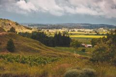 DOMAINE PUJOL A