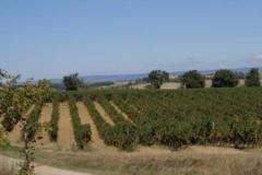 DOMAINE SATGE