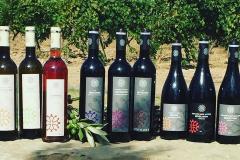 DOMAINE ST ANTOINE D