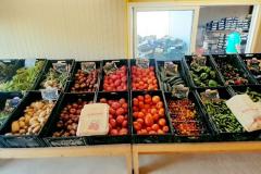 SAURY WILLIAM SAINT ANDRE