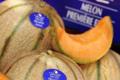 MELON DU PC