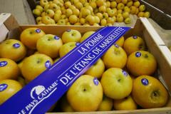POMME DU PC