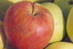 Pommes