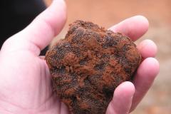 TRUFFE PC