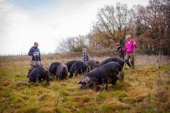 Ferme de la Bracadelle