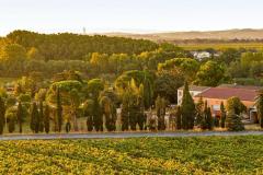 DOMAINE DE L'HERBE SAINTE