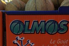 OLMOS
