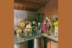 DOMAINE LA LOUVIÈRE