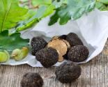 TRUFFE BLANCHE 