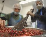 confiture pays cathare atout fruit