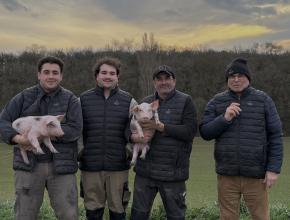 Elevage de Porc Pays Cathare