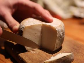 Dégustation de fromage de chèvre, tomme de Matthieu Bouette, éleveur à Fajac-en-Val