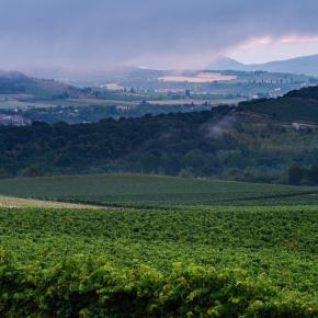 DOMAINE DE MATIBAT