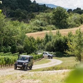 DOMAINE DEBARONARQUES