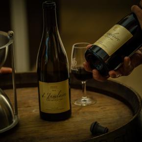 Caveau La Vendemiaire-Fleury_13
