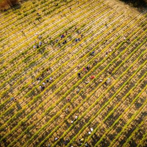 Chateau Guilhem-Malvies_1