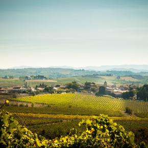 Chateau Guilhem-Malvies_10