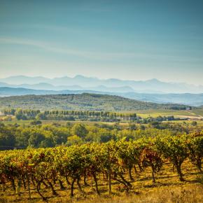 Chateau Guilhem-Malvies_12