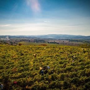 Chateau Guilhem-Malvies_2