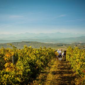 Chateau Guilhem-Malvies_7