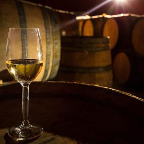 Chateau Rives Blanques-Cepie_14