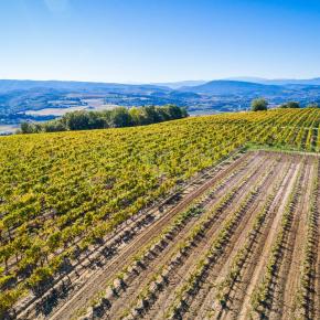 Chateau Rives Blanques-Cepie_3