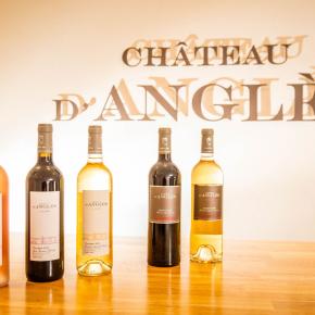 Chateau d'Angles-Saint Pierre La Mer_8