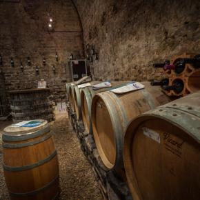 Chateau du donjon-Bagnoles_10