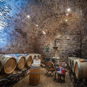 Chateau du donjon-Bagnoles_14