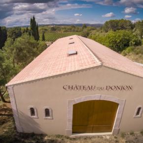 Chateau du donjon-Bagnoles_4
