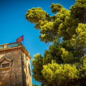 Chateau du grand Caumont-Lezignan Corbieres_5