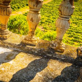 Chateau du grand Caumont-Lezignan Corbieres_7