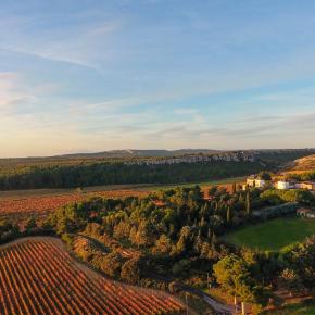 CHÂTEAU LA NEGLY