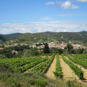 DOMAINE DE ROUDENE