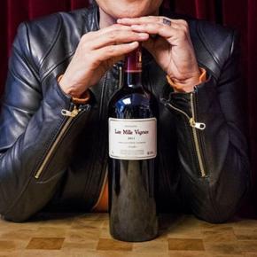 DOMAINE LES MILLE VIGNES 4