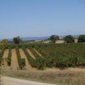 DOMAINE SATGE