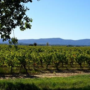 DOMAINE PUJOL H
