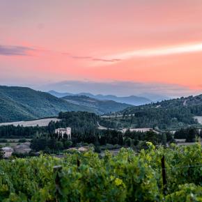Domaine Therez Caruso