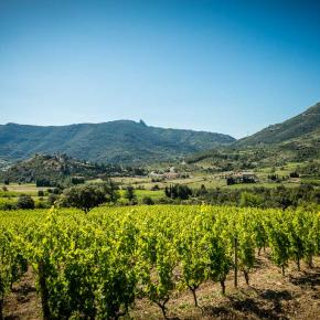 Domaine du Trillol-Cucugnan_5