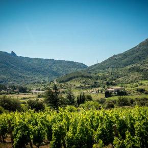 Domaine du Trillol-Cucugnan_8