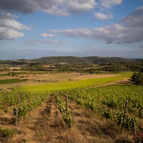 Domaine les cascades-Ribaute_0
