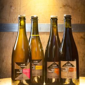Domaine les cascades-Ribaute_10