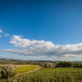 Domaine les cascades-Ribaute_17