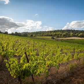 Domaine les cascades-Ribaute_18