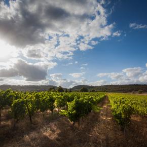 Domaine les cascades-Ribaute_19