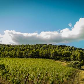 Domaine les cascades-Ribaute_2