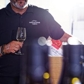 LE VERRE D'UN sommelier