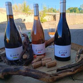LES VIGNERONS DU TRIANGLE D'OR